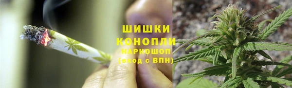 сатива Арсеньев