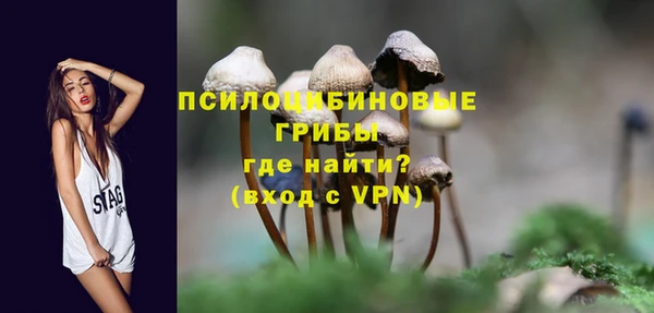 сатива Арсеньев