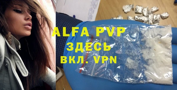 сатива Арсеньев
